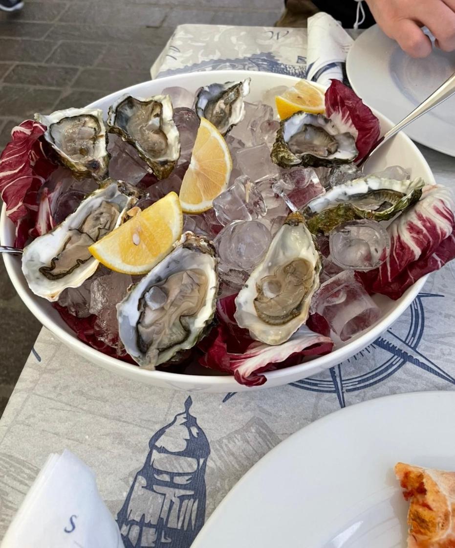 Chez Amali - Stielvolle Ferienwohnung In Der Provence Mit Terrasse Brignoles Zewnętrze zdjęcie
